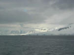 Antartic